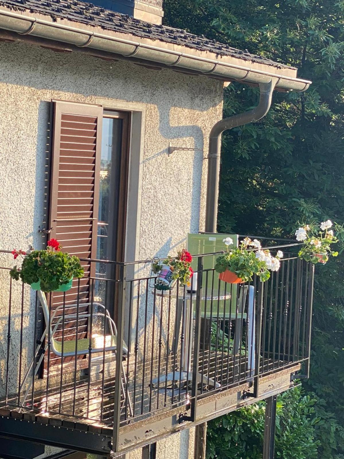 Viva Bacco Gambarogno Exterior foto