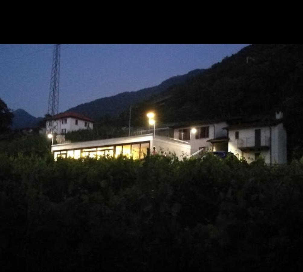 Viva Bacco Gambarogno Exterior foto