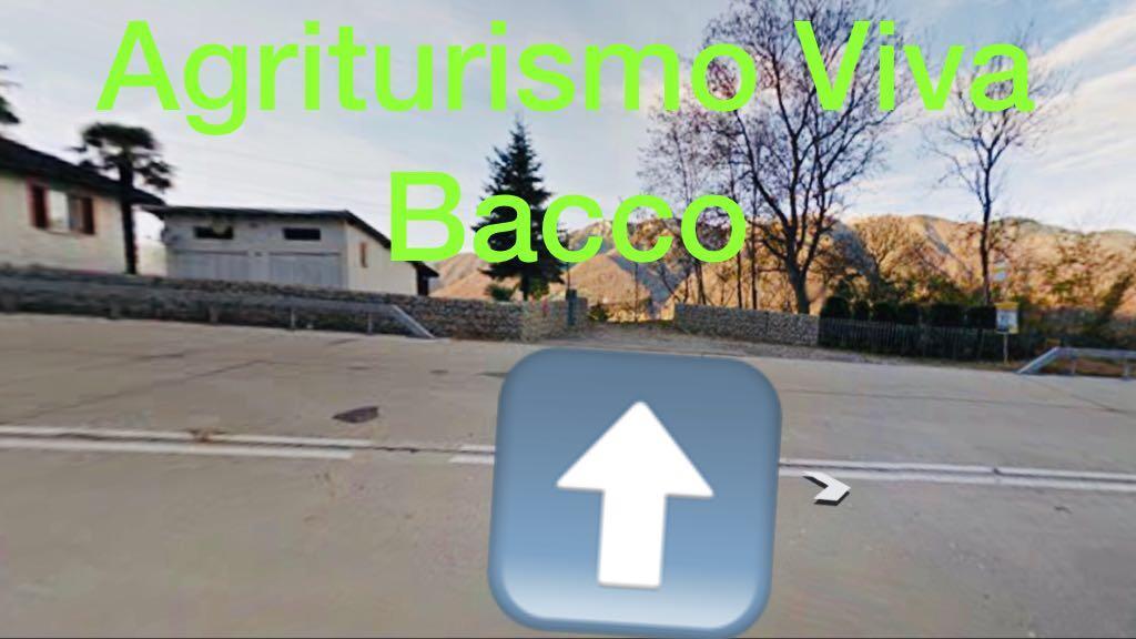 Viva Bacco Gambarogno Exterior foto